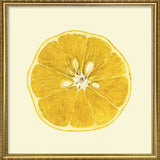 Lemon open