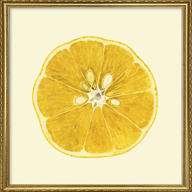 Lemon open