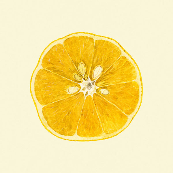 Lemon open