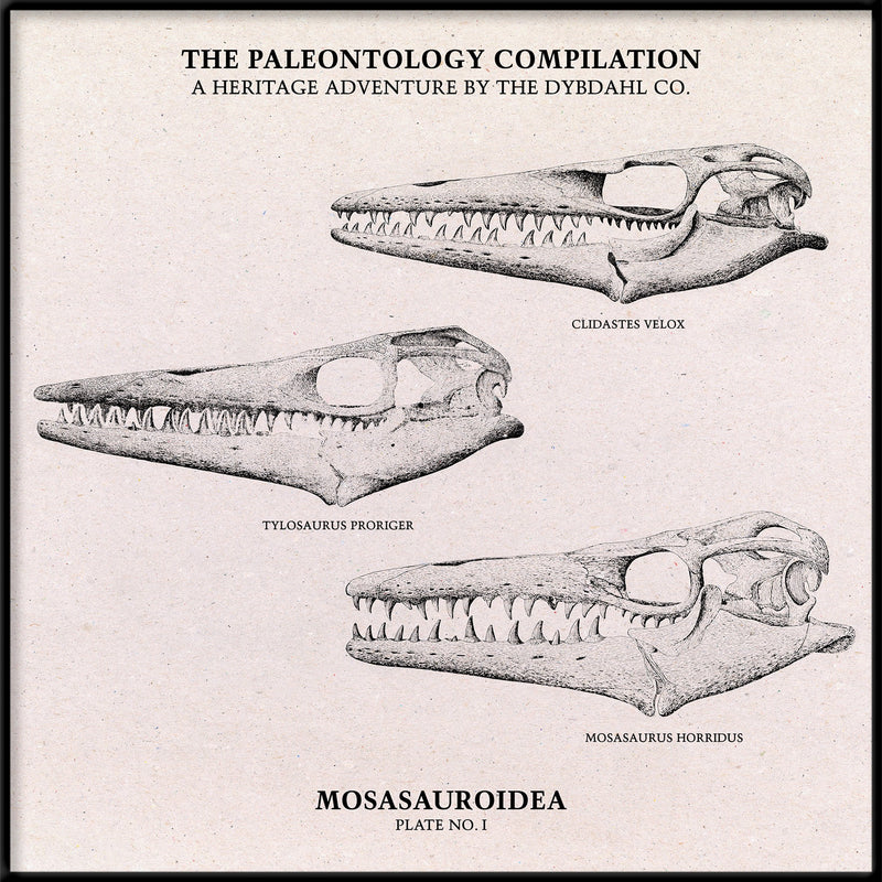 Mosasauroidea II