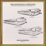 Mosasauroidea II