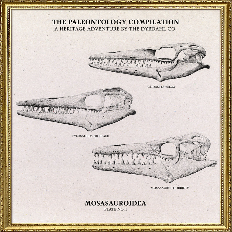 Mosasauroidea II