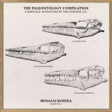 Mosasauroidea II