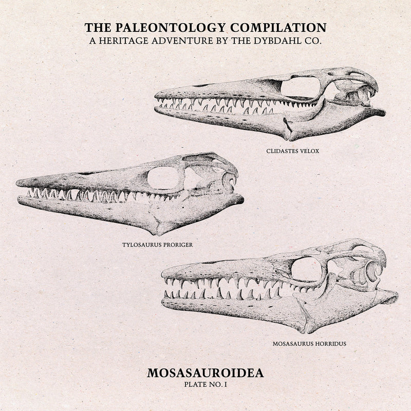Mosasauroidea II