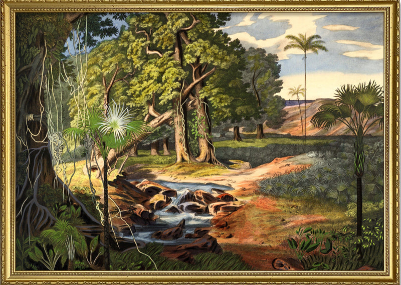 Jungle Scenery