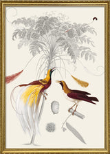 Plum and yellow
