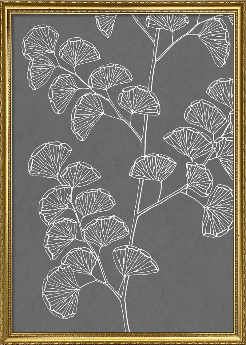 Ferns