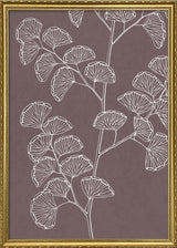 Ferns
