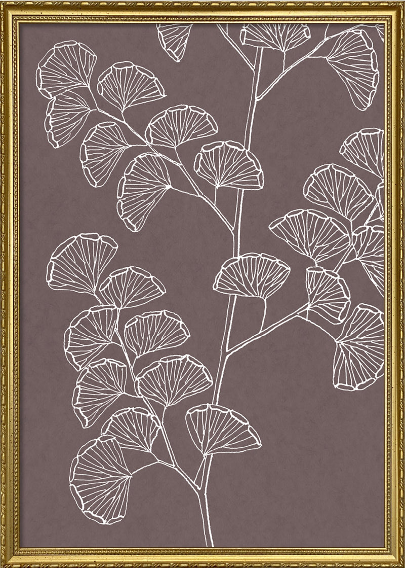 Ferns