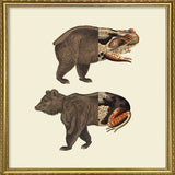 BeRog