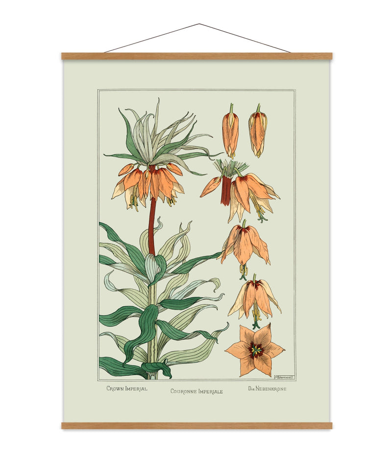 Crown Imperial II. - Couronne Impériale II. - Die Nebenkrone II.