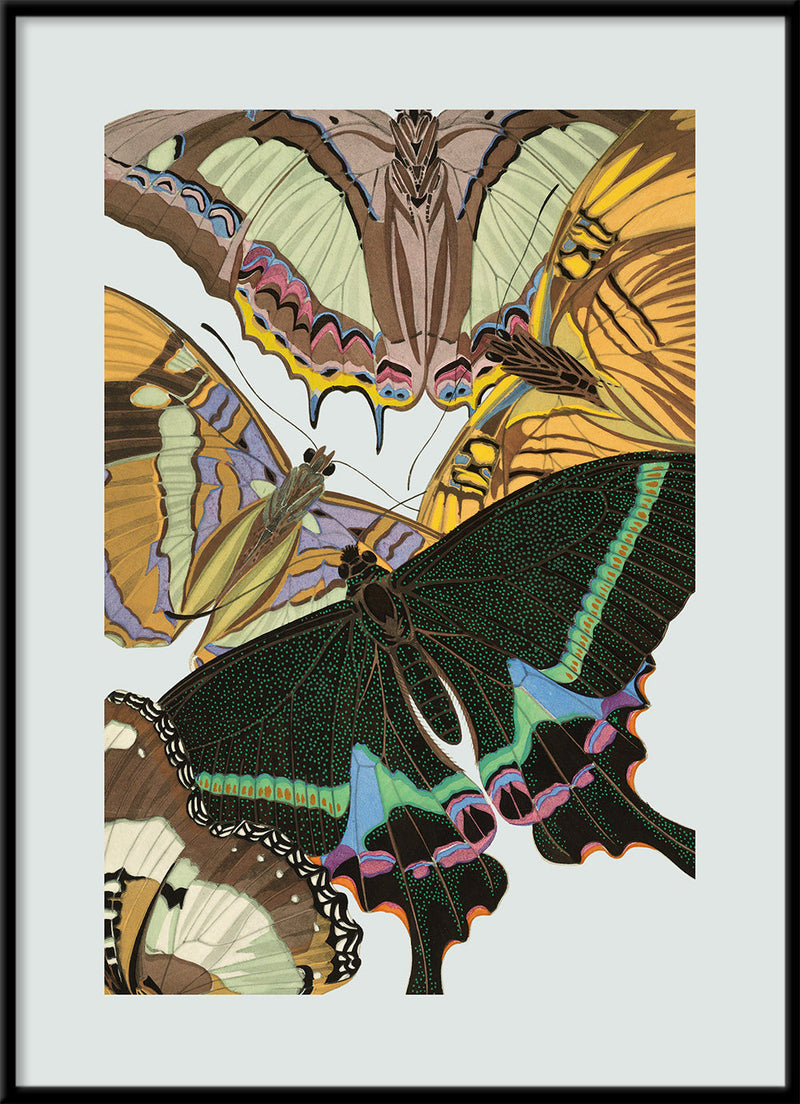 Papillon I. Mini Print
