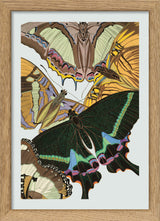 Papillon I. Mini Print