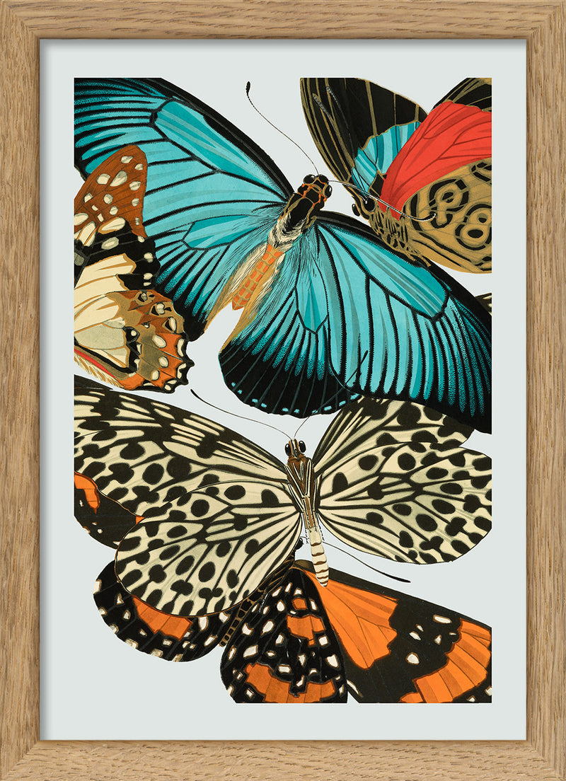 Papillon III. Mini Print