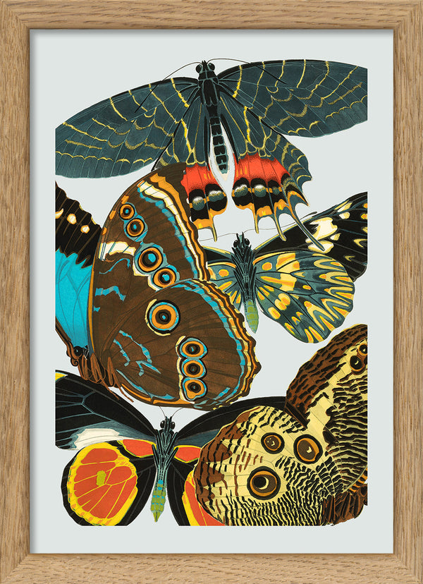 Papillon IV. Mini Print