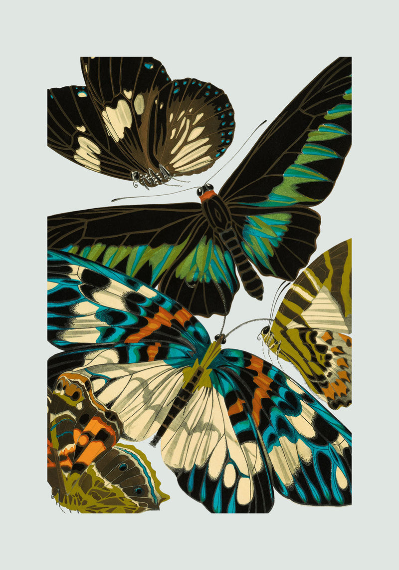 Papillon V. Mini Print