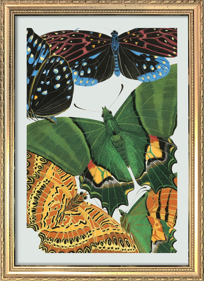 Papillon VIII. Mini Print