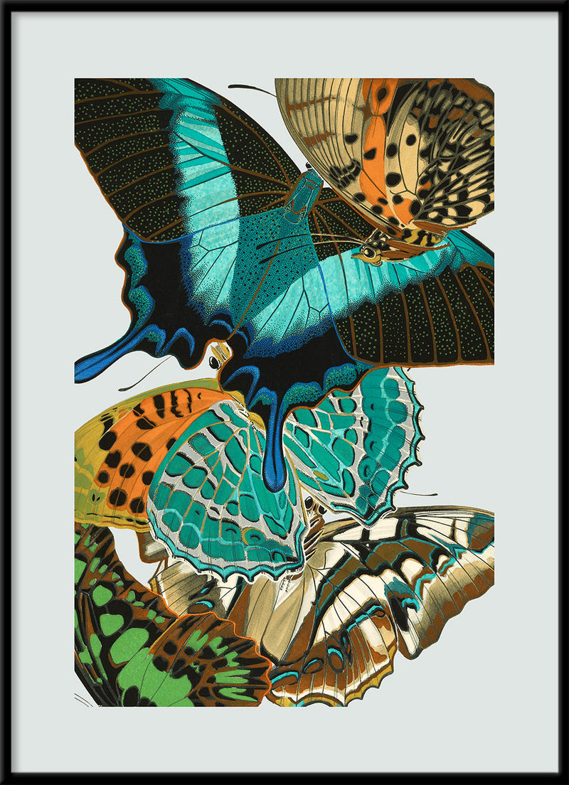 Papillon XI. Mini Print
