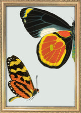 Black and Yellow Butterfly Left. Mini Print