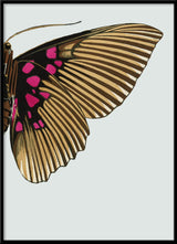 Gold and Fuchsia Butterfly Right. Mini Print