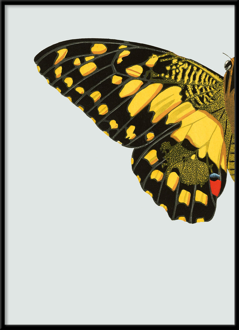 Yellow dotted Butterfly Left. Mini Print