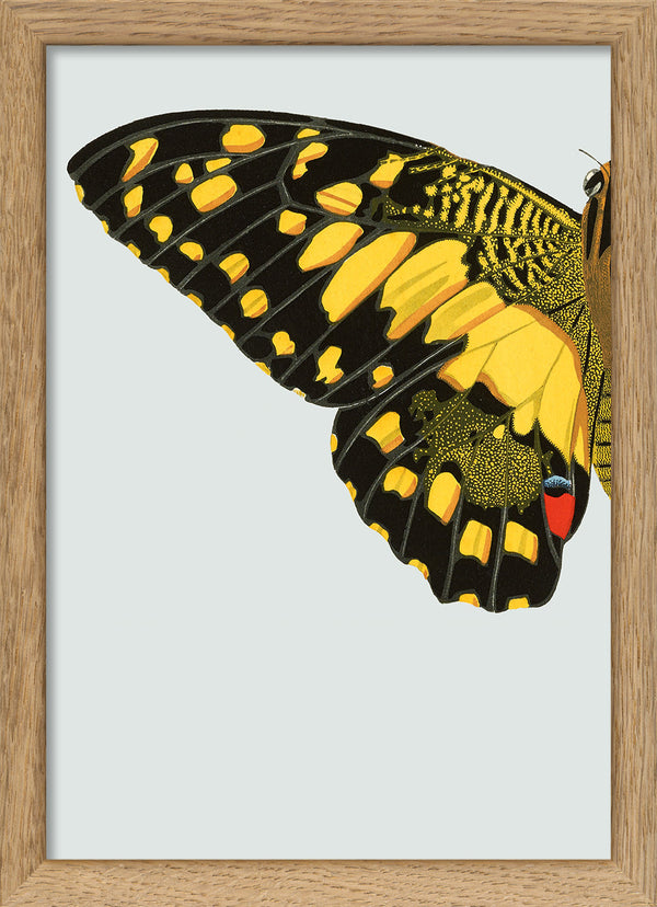 Yellow dotted Butterfly Left. Mini Print