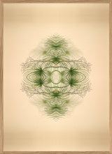 Botanical Reflection Limited Edition Print