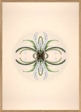 Botanical Reflection Limited Edition Print