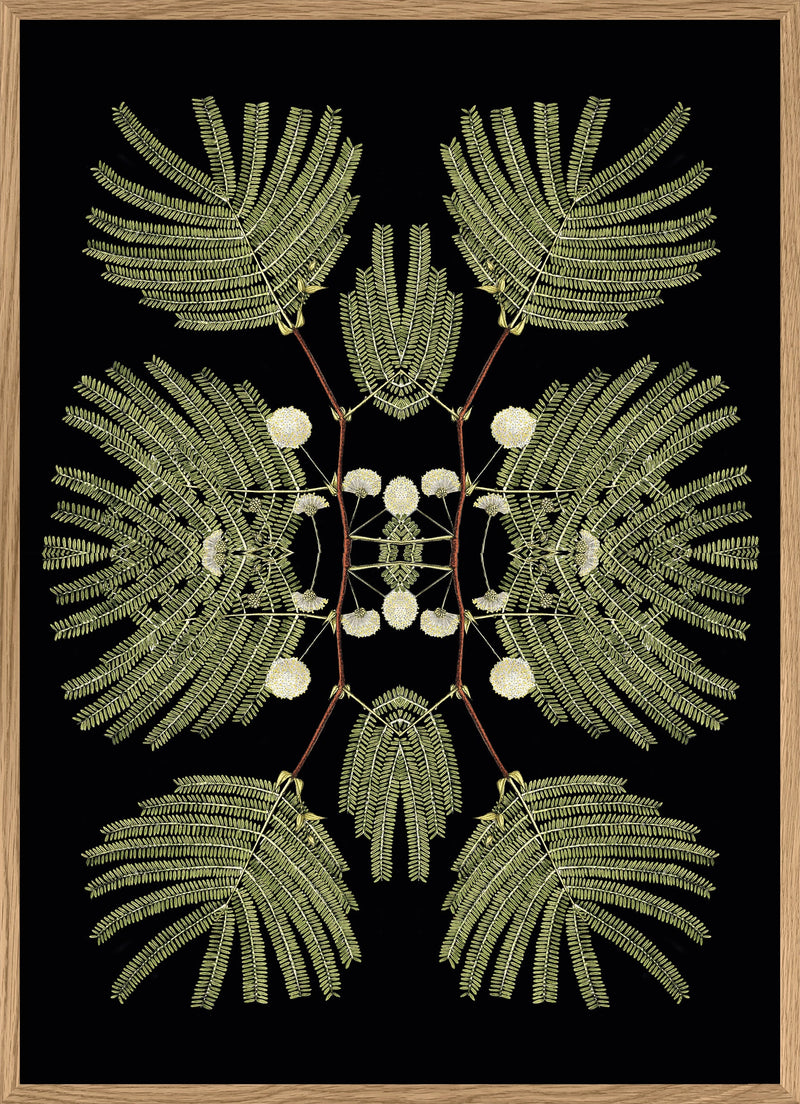 Botanical Reflection Limited Edition Print