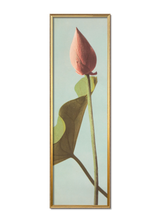Lotus Flower Bud