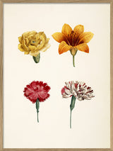 Compound Flower