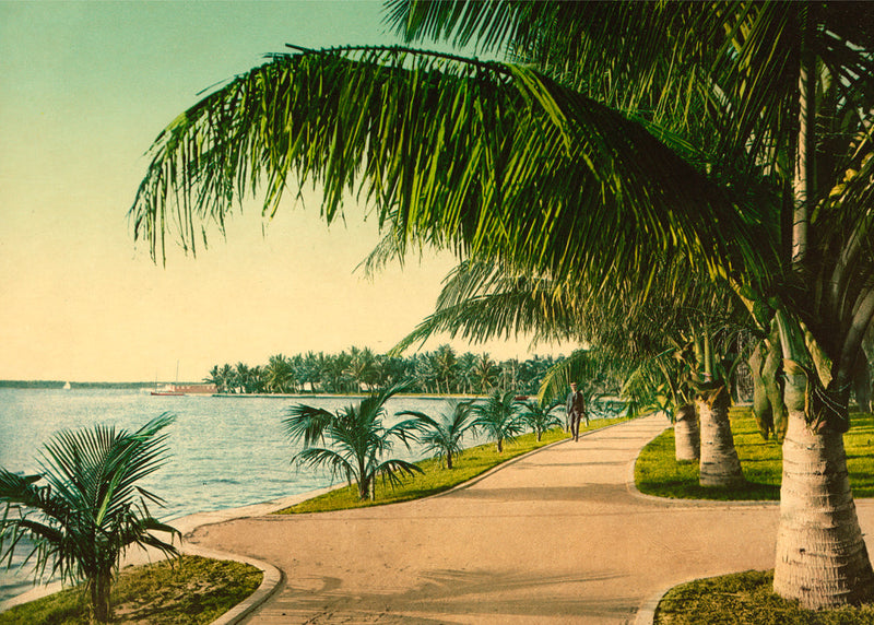 The Walk at Palm Beach
