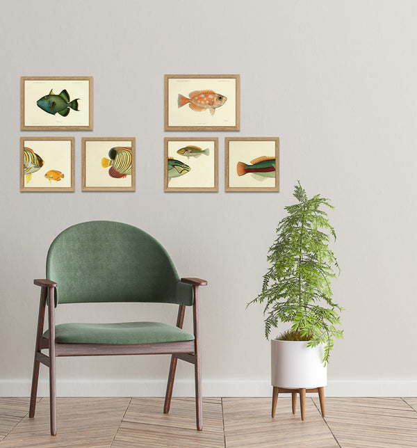 Yellow Striped Fish Head and Small Orange Fish. Mini Print