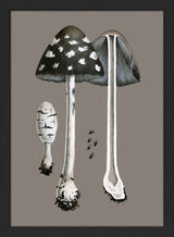 Fungi and details. Mini Print
