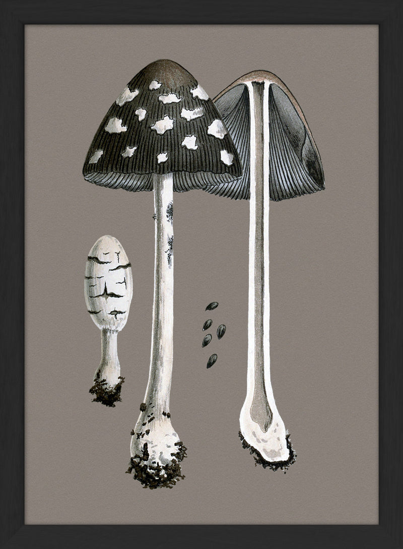 Fungi and details. Mini Print