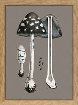 Fungi and details. Mini Print
