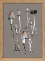 Fungi and Details. Mini Print