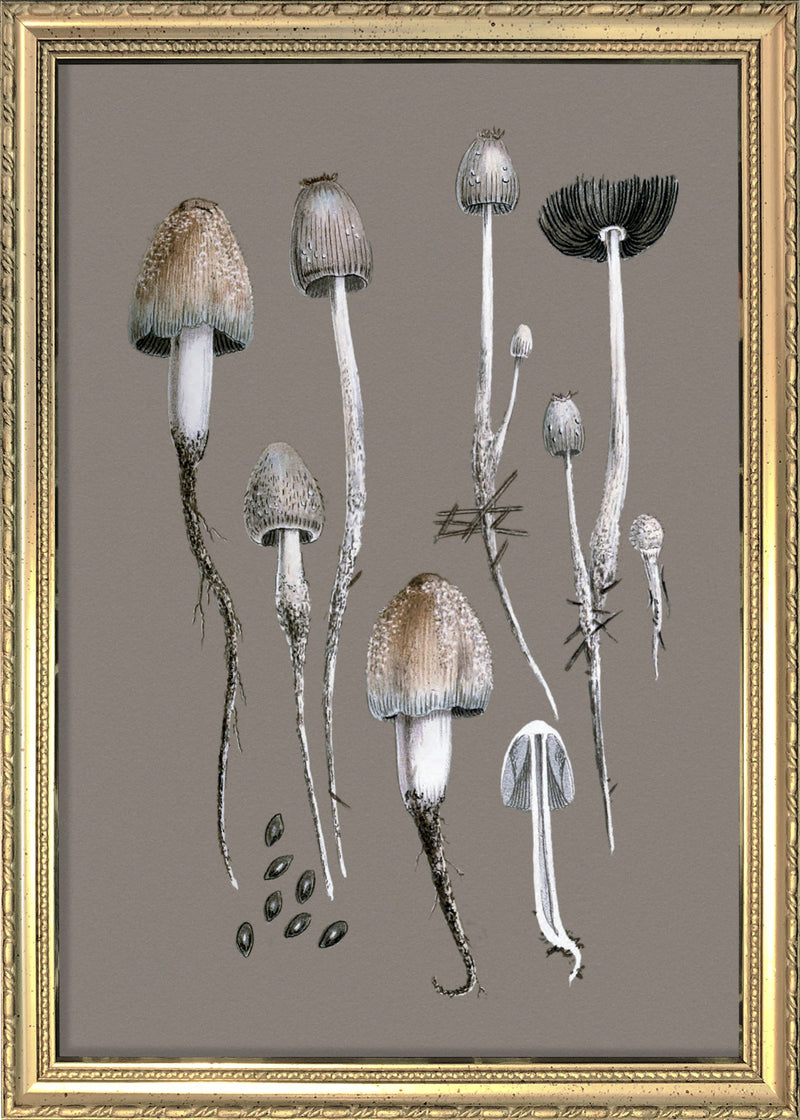 Fungi and Details. Mini Print