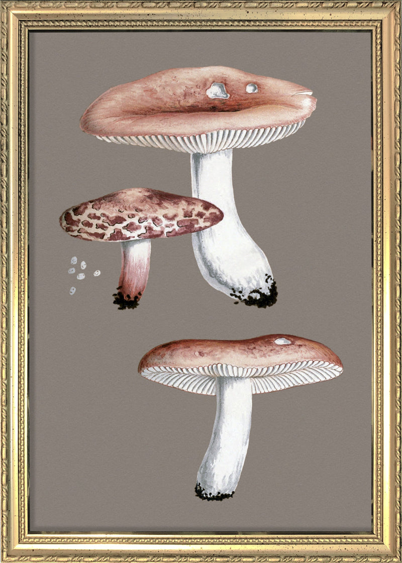 Small Fungi. Mini Print