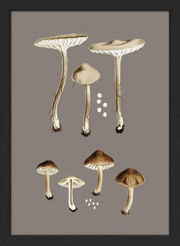 Group of Small Fungi. Mini Print