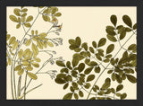 Guilandina Moringa Close Up. Mini Print