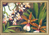 Orchids Close Up. Mini Print