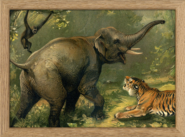 Elephant and Tiger. Mini Print