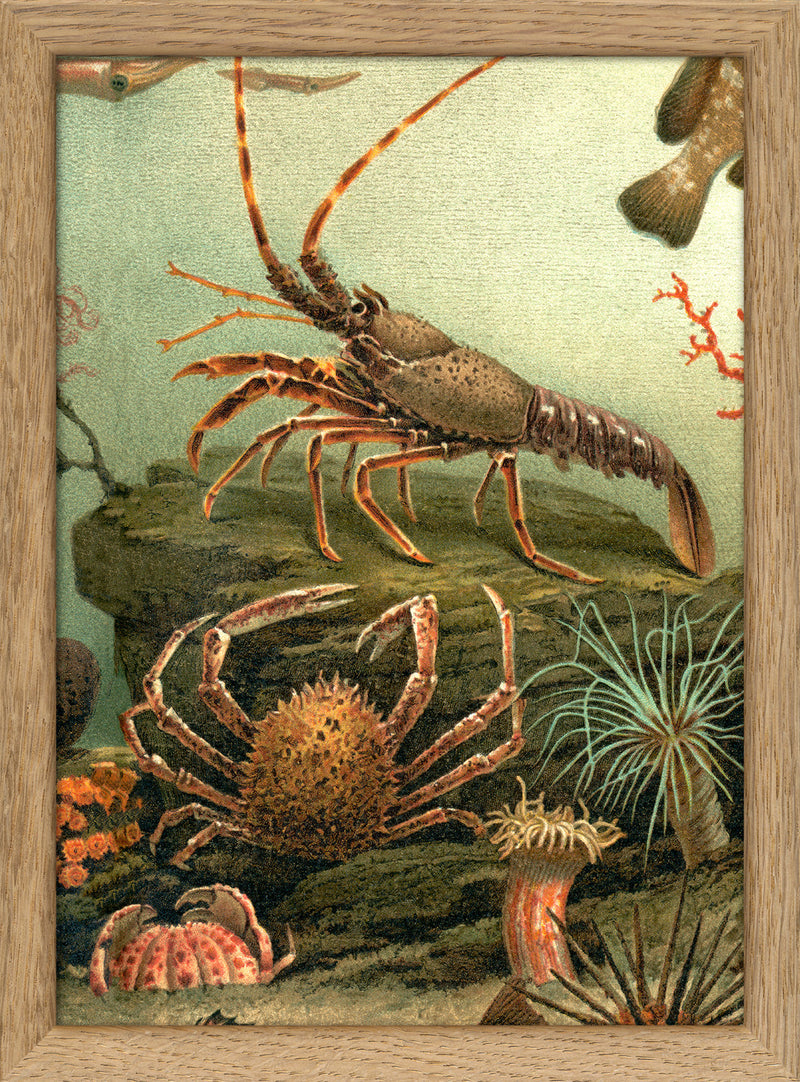 Under the Sea Lobster and Crab. Mini Print