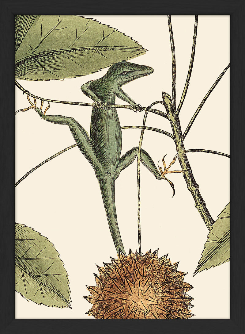 Lizard and Sweet Gum Tree Close Up. Mini Print