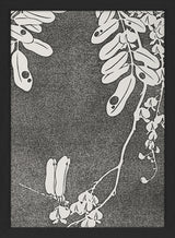 Natural Study VI. Mini Print
