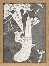 Natural Study IX. Mini Print