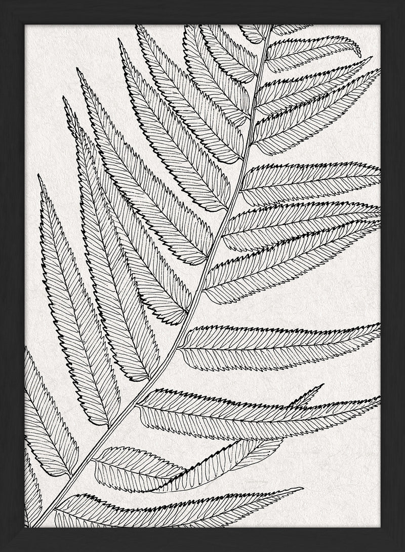 Botanical Study VIII. Mini Print