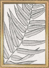 Botanical Study VIII. Mini Print