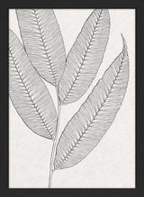 Botanical Study XI. Mini Print